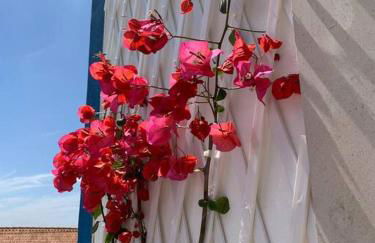 Joia da Casa House with private Pool - Foto 29