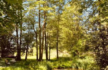 Landhaus Börmoos - Foto 20