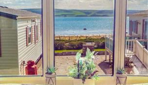 The Wee Sprout - Photo 5