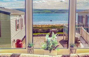 The Wee Sprout - Foto 5