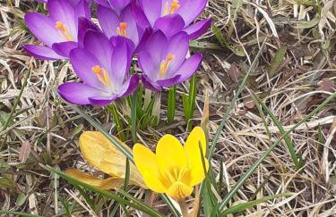 Marcinowa Zagroda - Foto 36