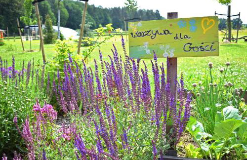 Leśny Zakątek Uroczysko -Apartamenty Nowoczesnej Stodoły - Foto 18