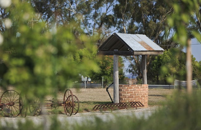 Mudgee Valley Park - Foto 28