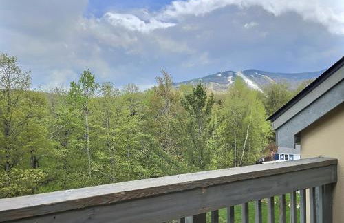 LilBear- AC, Pool, Sauna, Hot Tub, Near Resort - Foto 28