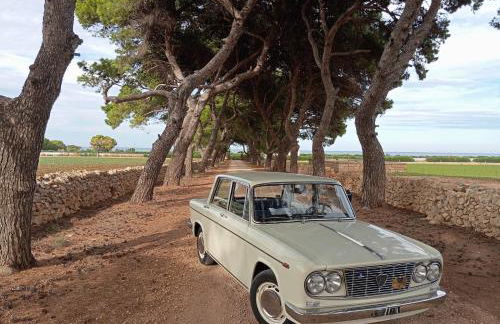 Trulli di Titti - Luxury Country House - Foto 72