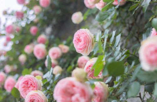 Casa del Maestro-Appartamenti d'Arte - Foto 53