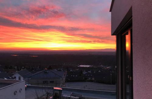 Vogesenblick - Foto 16