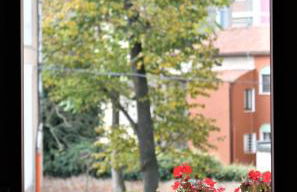 Appartamento Via Mazzini - Foto 17