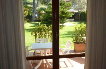 il geranio - Foto 32