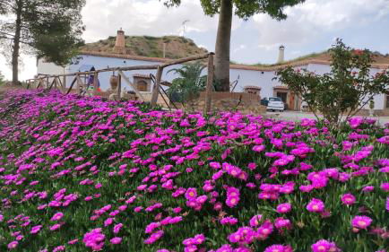 Cueva El Cortijo Gachas - Photo 21