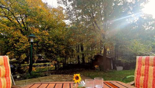 Ferienhaus Seensucht - Natur am See & im Wald mit Kamin - Foto 5, Garden