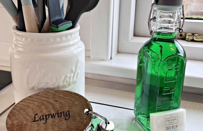 The Lapwing - Foto 9