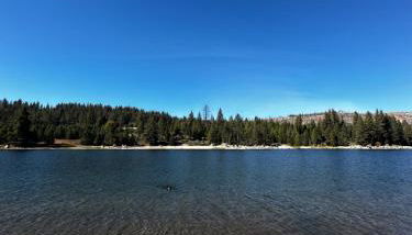 Bear Meadow Cabin at Shaver Lake - Foto 3
