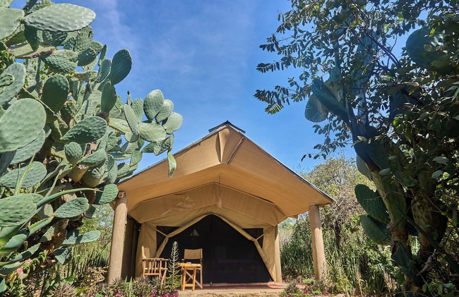 Tindiga Tented Camp - Foto 40