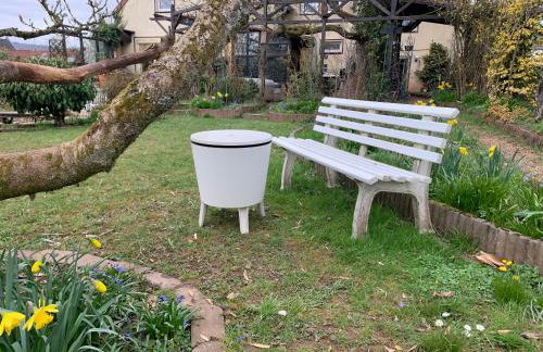 Vintage Apartment WOLF im Wadrilltal - Balkon Garten - Foto 4