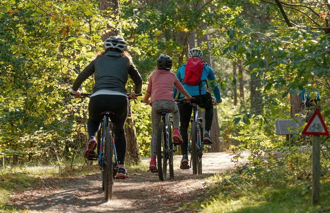 Bashall Barn, Eaves Hall, Outbarn all Close by - Foto 24
