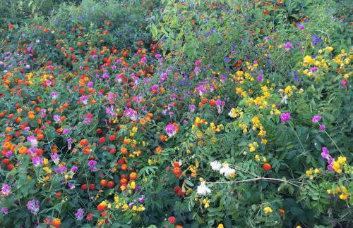 Tanllan Apartment - Foto 39