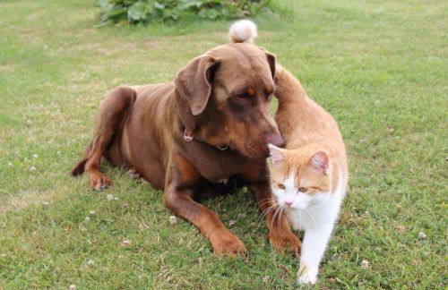 Ferienwohnung Koitscheblick - Foto 24