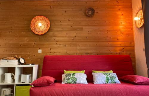 Appartement face aux thermes Allevard - Foto 12