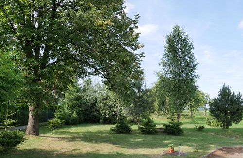 Villa ENERGY - Foto 62