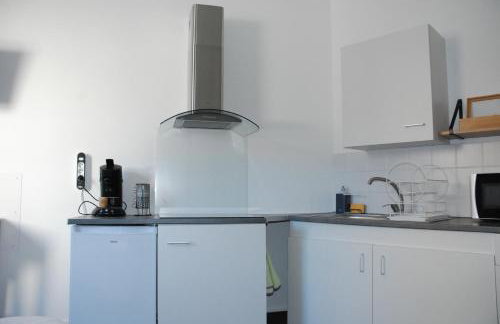 Studio Nancy quartier Thermal - Parc Sainte-Marie - Foto 14