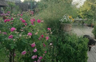 Gospodarstwo agroturystyczne - Foto 76