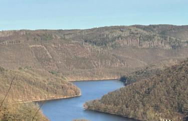 Rursee Eifel-Chalet mit Seeblick und Wellnessbereich - Foto 23