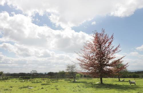 Stone Cross - Photo 13