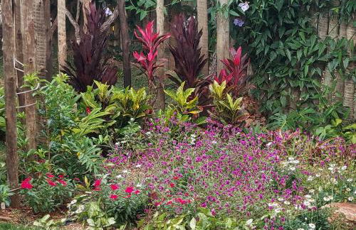 Statera Host - Foto 27