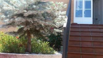 Apartment Montesol-Ferienwohnung by Interhome - Foto 2