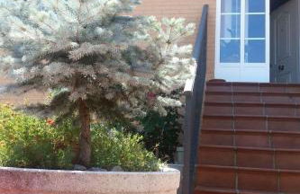 Apartment Montesol-Ferienwohnung by Interhome - Foto 2