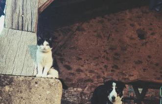 La Glane at Le Maingaud - Foto 31