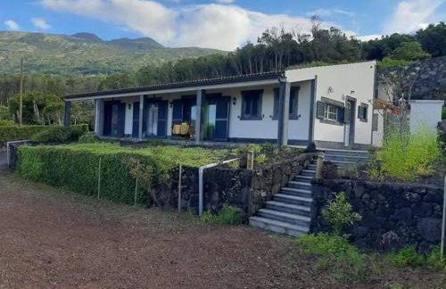 Ocean Melody - Photo 3