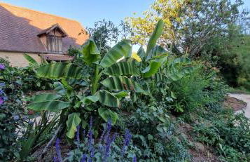 COCON du domaine de la grande décision - Foto 15