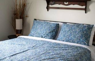 Near Historic Downtown Apex, Sleeps 8, King Bed - Foto 15