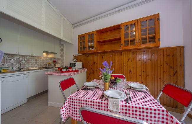 Rododendro Rosso in Ispra - Foto 12