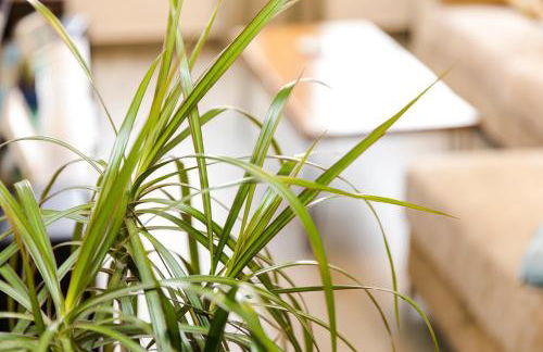 Puerto Denia - Foto 22