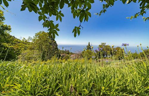 Quinta Devónia III - Nogueira by An Island Apart - Foto 64