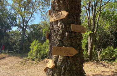 Maison au calme piscine mer au coeur de la nature U Nuciolu - Foto 19