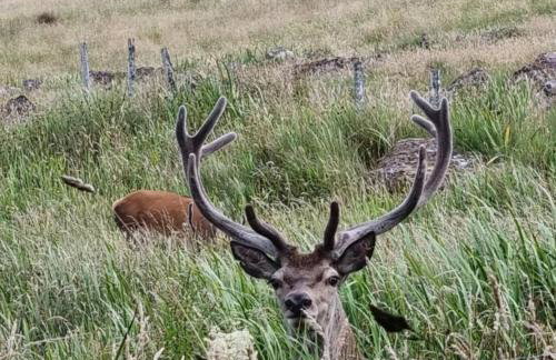 Pollan-Na Clach Cabin - Foto 17