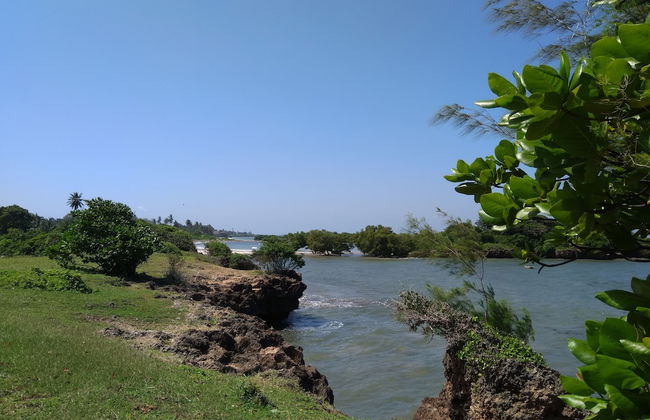 Galu Tulivu - Foto 28