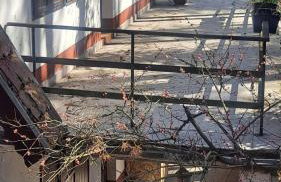 LeśnyZakątekNysa - Foto 5