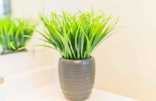 Newly Remodeled 3B2B House - Foto 43