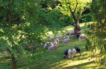 Maison spacieuse à Saint-André-de-Valborgne avec jardin 120 m² - Foto 19