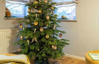 Ferienhaus Honey Bee - Foto 29