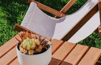 Hacienda Clavero One Garden Apartment - Photo 6