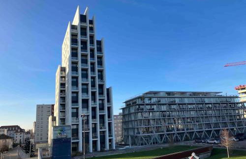 Basel-Tram 8-Tristate-Bridge-Riverview - Foto 36