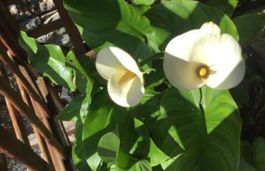 Il Ghiretto Appartamento - Photo 47