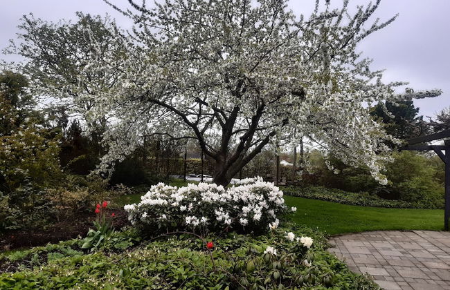 "fjordhus - on an Island Shaped as a Hart in the Middle of Isefjord - Sealand" - Foto 33