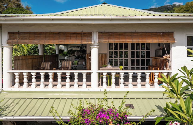 Beau Bamboo - Foto 73